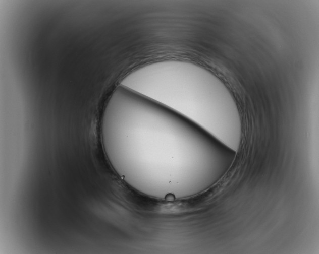 X0000100320461200806051353