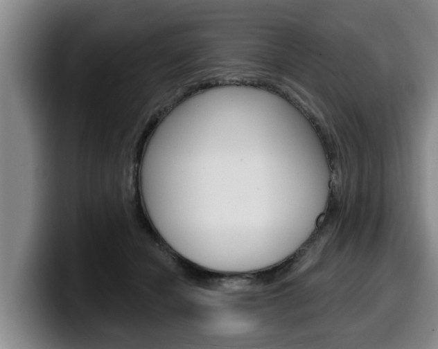 X0000100320462200806051353