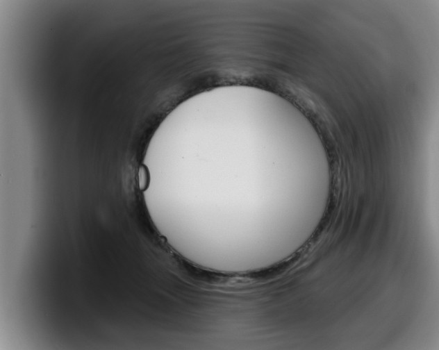 X0000100320463200806051353