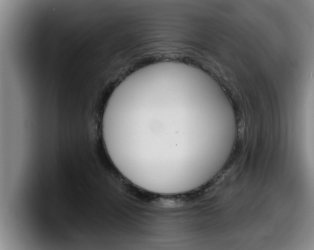 X0000100320464200806051353