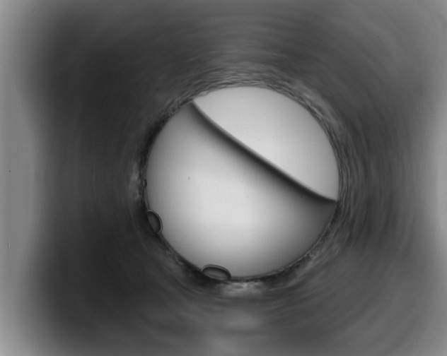 X0000100320465200806051353