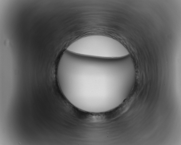 X0000100320466200806051353