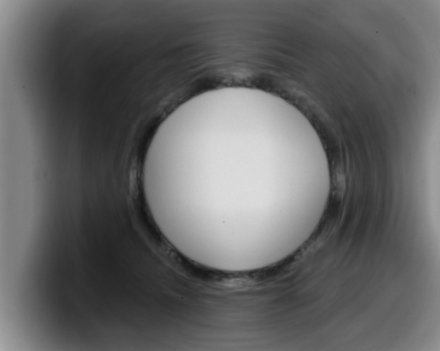 X0000100320468200806051353