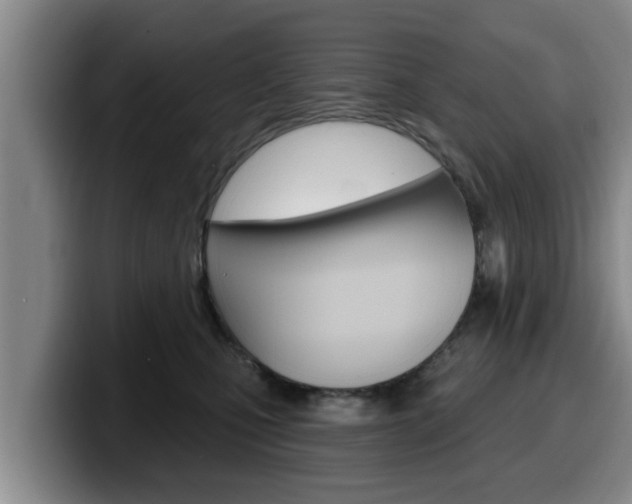 X0000100320471200806051353