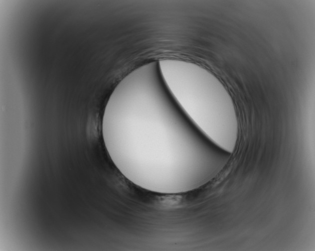 X0000100320474200806051353