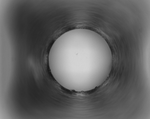 X0000100320475200806051353