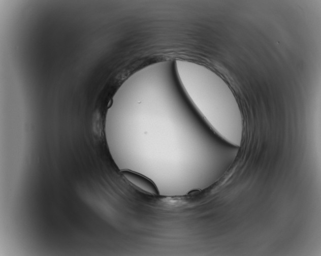 X0000100320477200806051353
