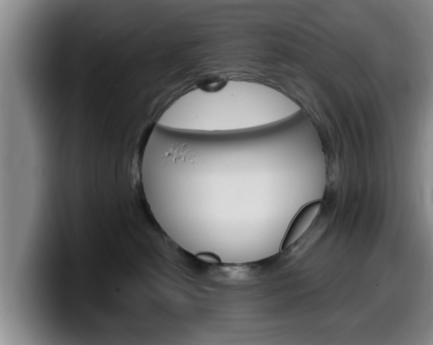 X0000100320478200806051353