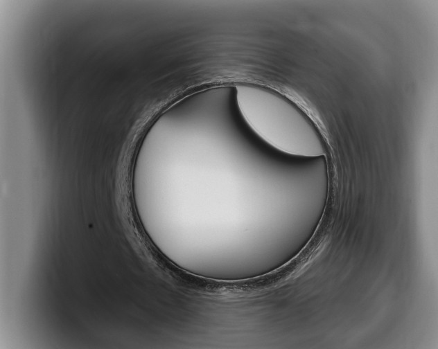 X0000100320481200806051353