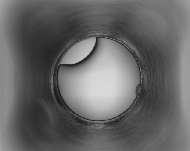 X0000100320482200806051353