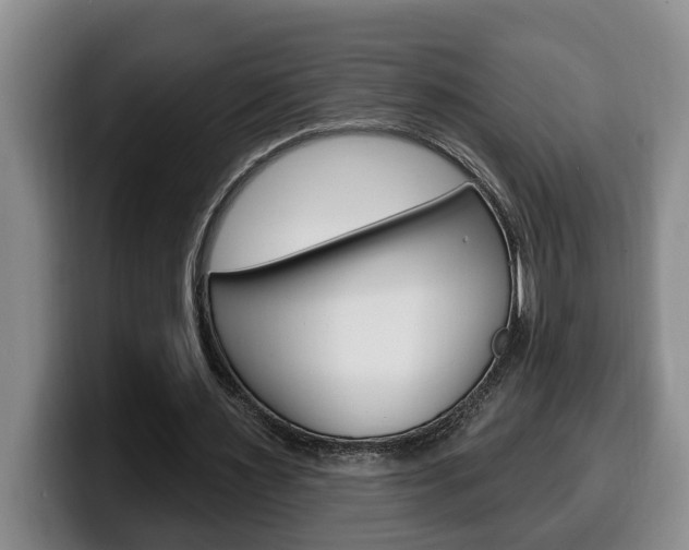 X0000100320483200806051353