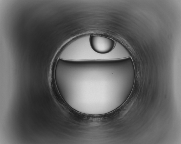 X0000100320484200806051353