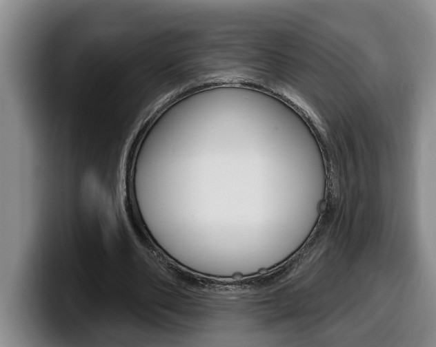 X0000100320486200806051353