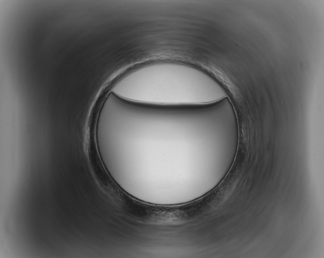 X0000100320488200806051353