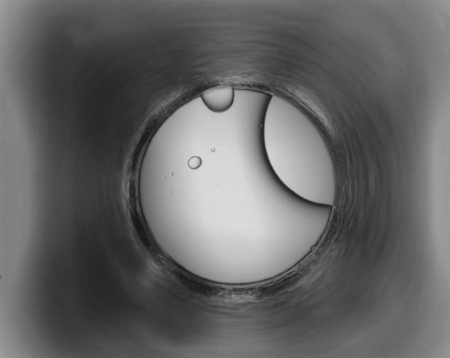 X0000100320491200806051353