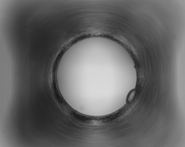 X0000100320496200806051353