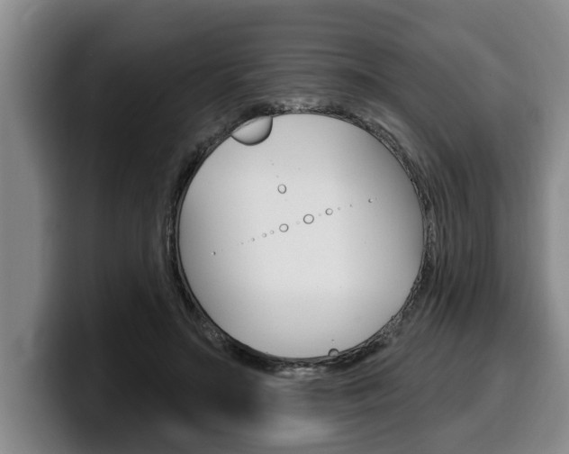 X0000100320499200806051353