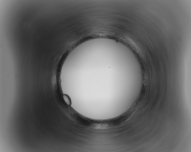 X0000100320500200806051353