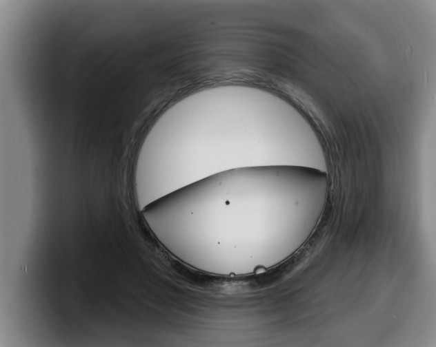 X0000100320501200806051353