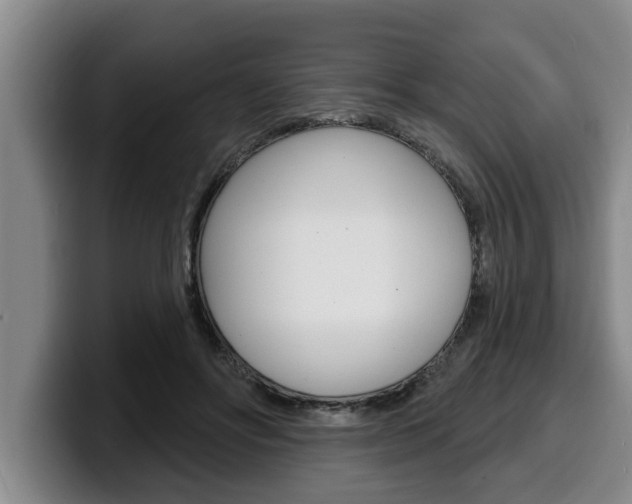 X0000100320502200806051353