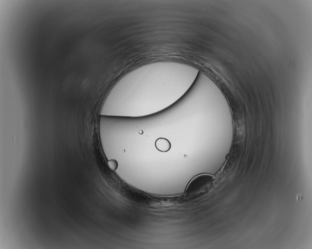X0000100320503200806051353