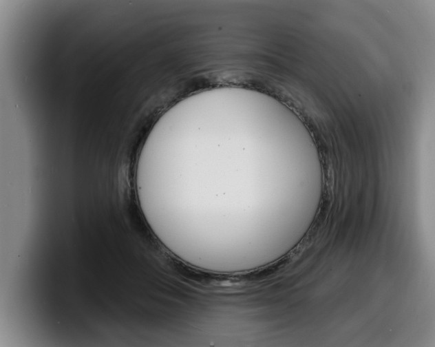 X0000100320506200806051353