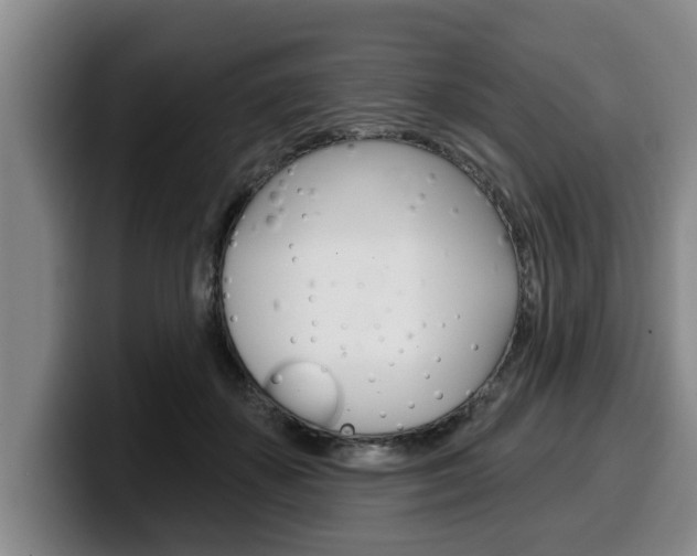 X0000100320507200806051353