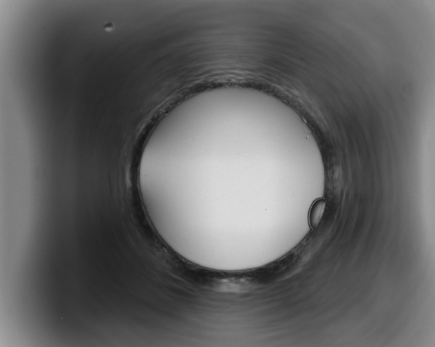 X0000100320508200806051353