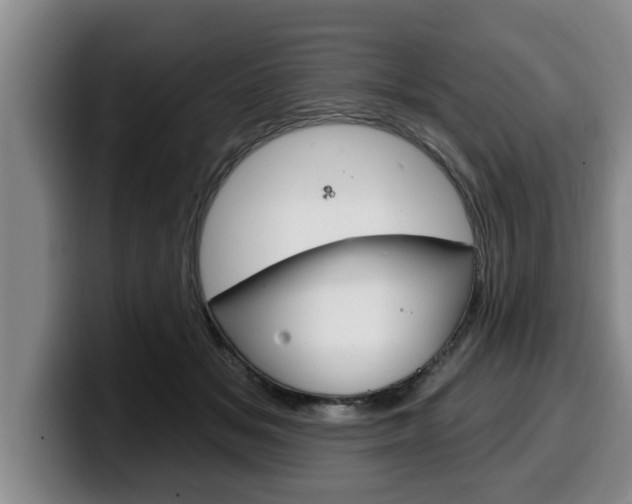 X0000100320509200806051353