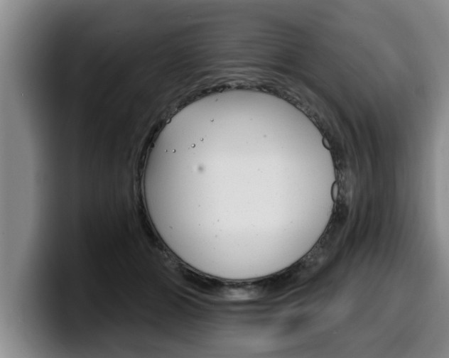X0000100320510200806051352