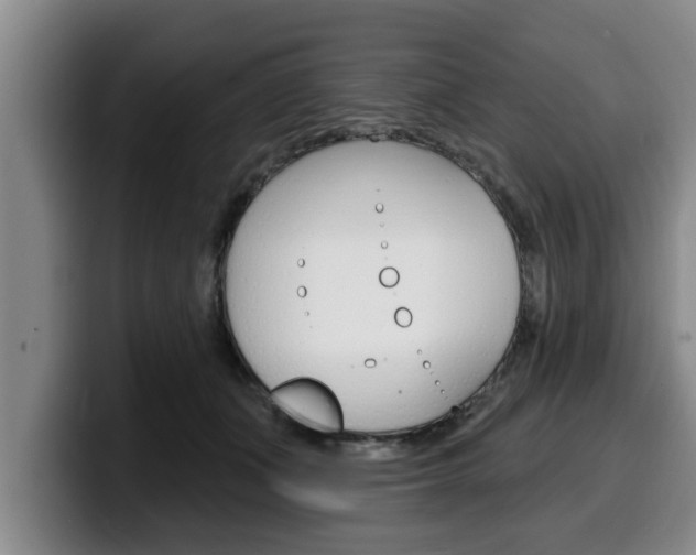 X0000100320511200806051352