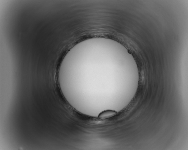 X0000100320514200806051352