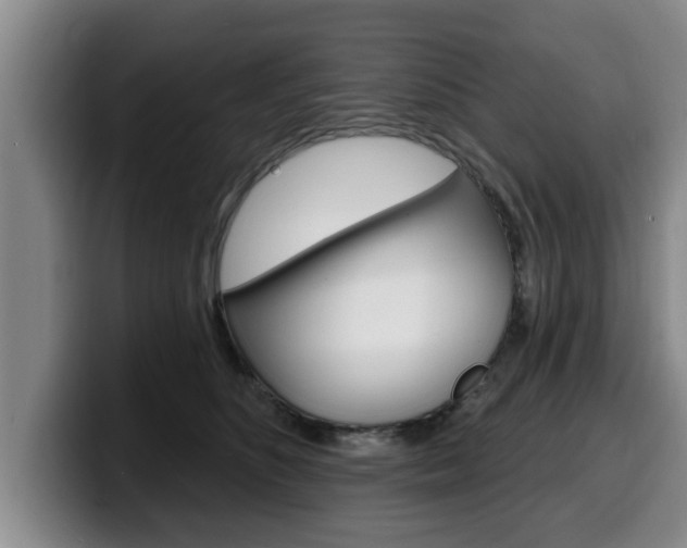 X0000100320516200806051352