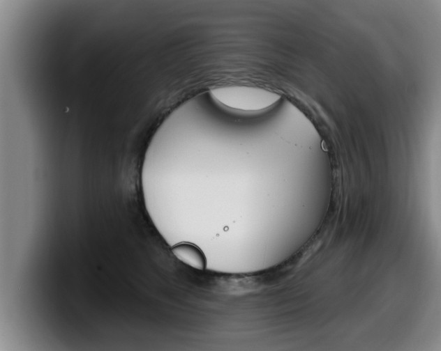X0000100320517200806051352