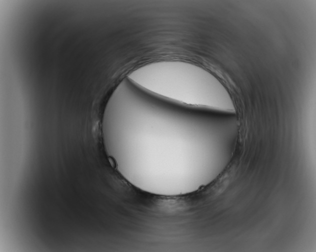 X0000100320521200806051352