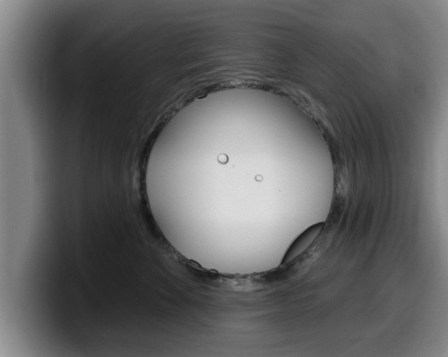 X0000100320524200806051352