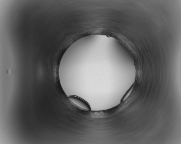 X0000100320525200806051352