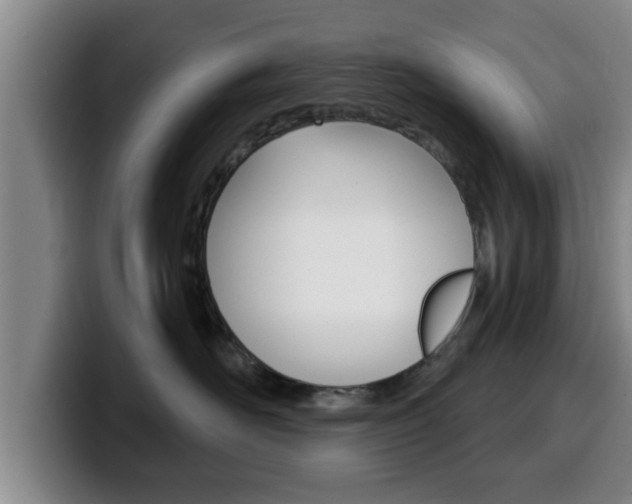 X0000100320526200806051352