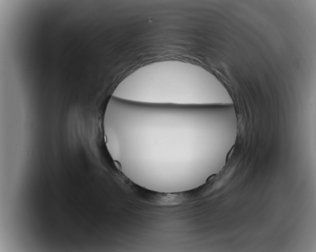 X0000100320527200806051352