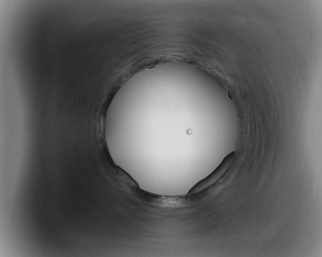 X0000100320528200806051352