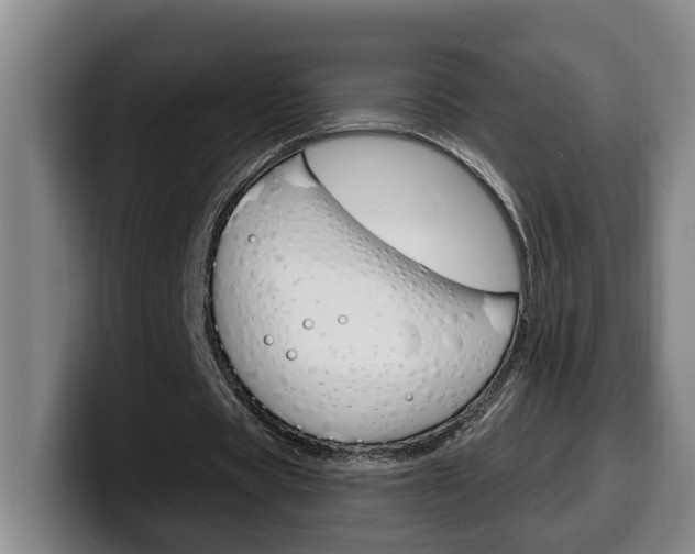 X0000100320529200806051352