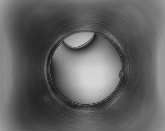 X0000100320530200806051352
