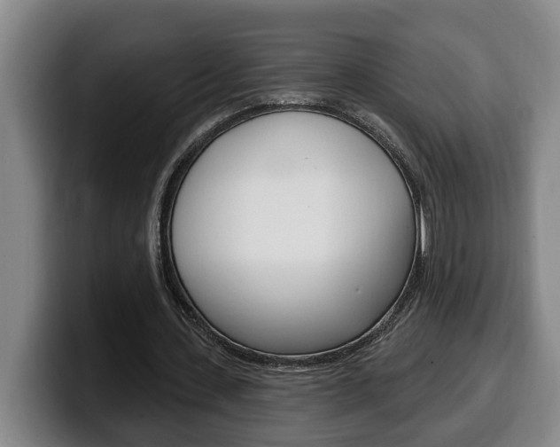 X0000100320531200806051352