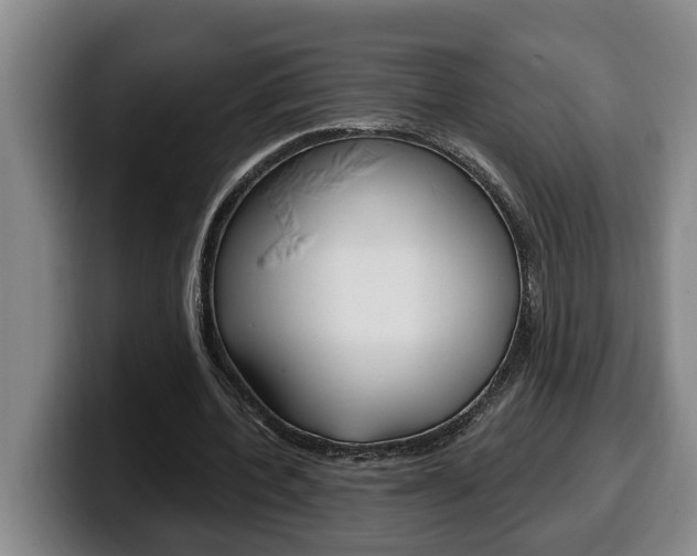 X0000100320532200806051352