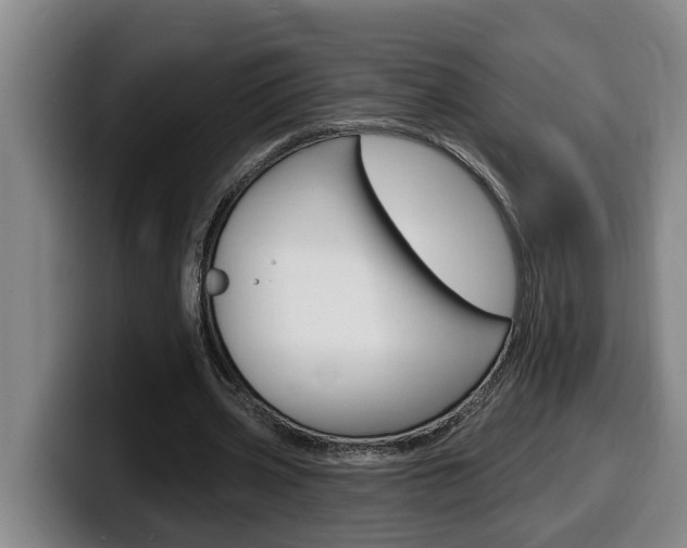 X0000100320533200806051352