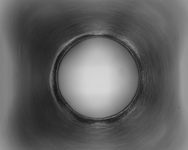 X0000100320536200806051352