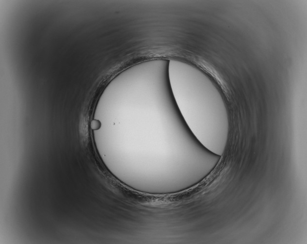 X0000100320537200806051352