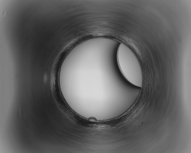 X0000100320539200806051352