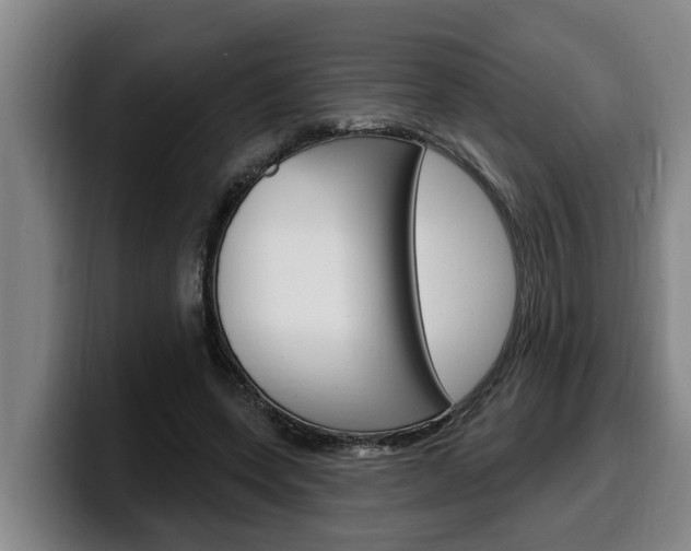 X0000100320543200806051352