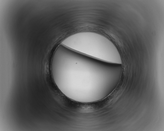 X0000100320547200806051352